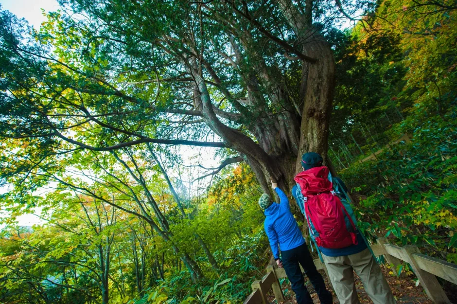 登山する人々