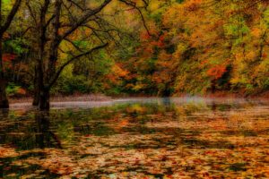 水面に紅葉が映る川