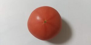 スターマークが見えるトマトの裏面